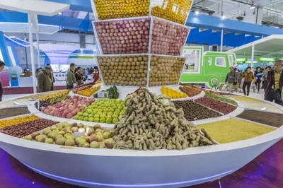 朋友圈中的農(nóng)產(chǎn)品銷售，責(zé)任歸屬誰承擔(dān)？