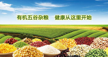 2019廣州有機展 引領健康生活新風尚，匯聚全球有機農副精品
